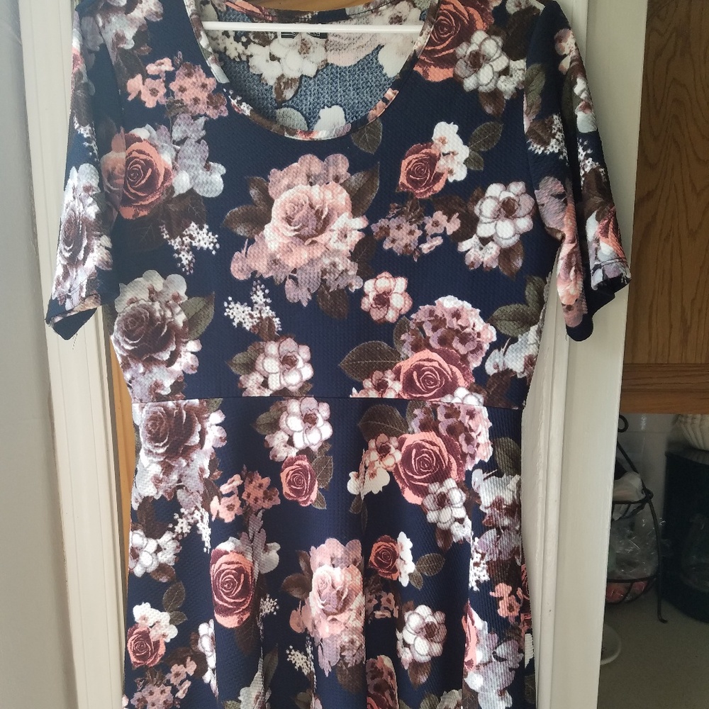 Navy and Pink Fit and Flare Skater Dress